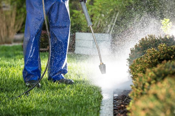 Curb Cleaning in Marco Island