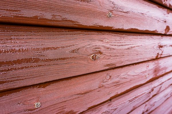 Cedar Siding Cleaning in Marco Island
