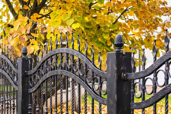 Wrought Iron Fence Washing in Marco Island