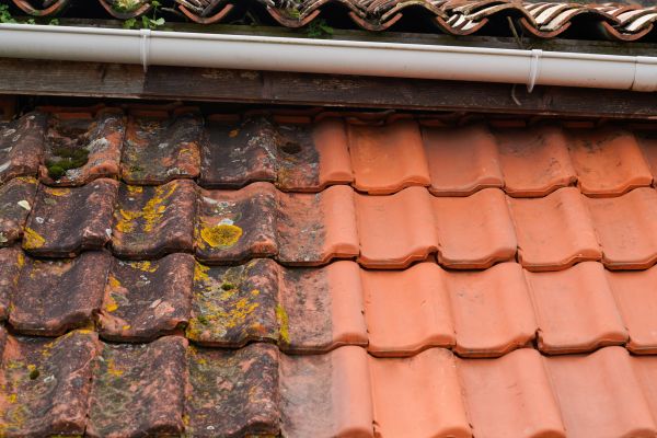 Industrial Roof Cleaning in Marco Island