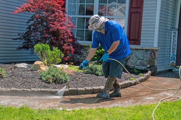 Brick Walkway Cleaning